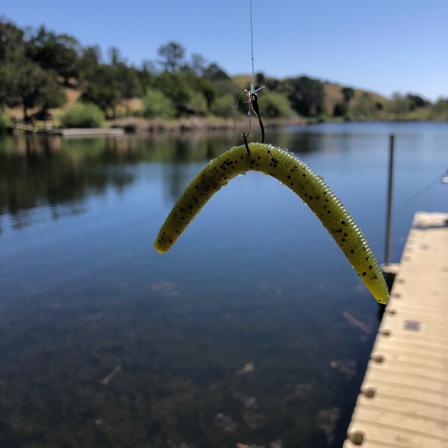 Wacky Rig Fishing: From Setup to Catch to Retrieval