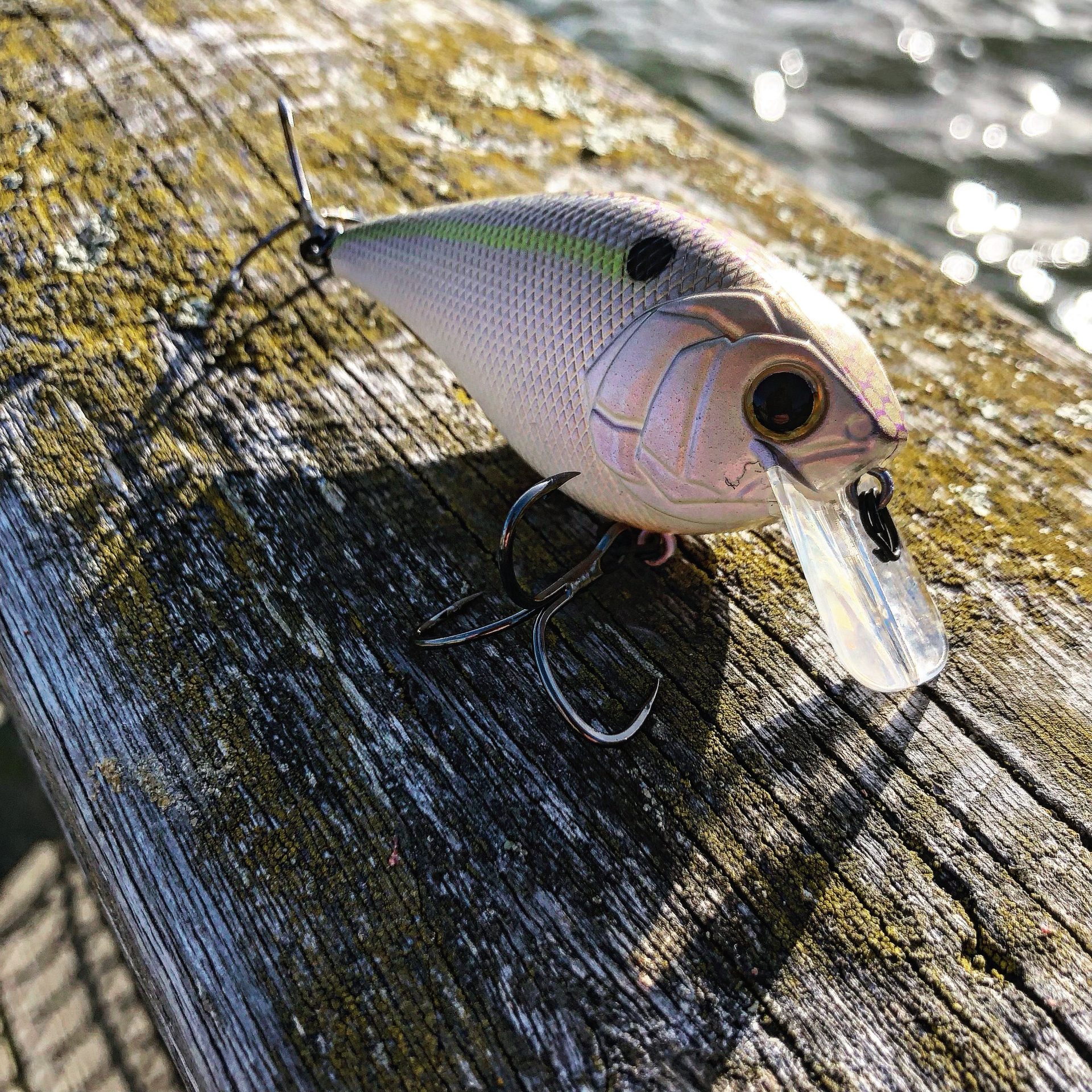 respect SNB handmade balsa cbait
